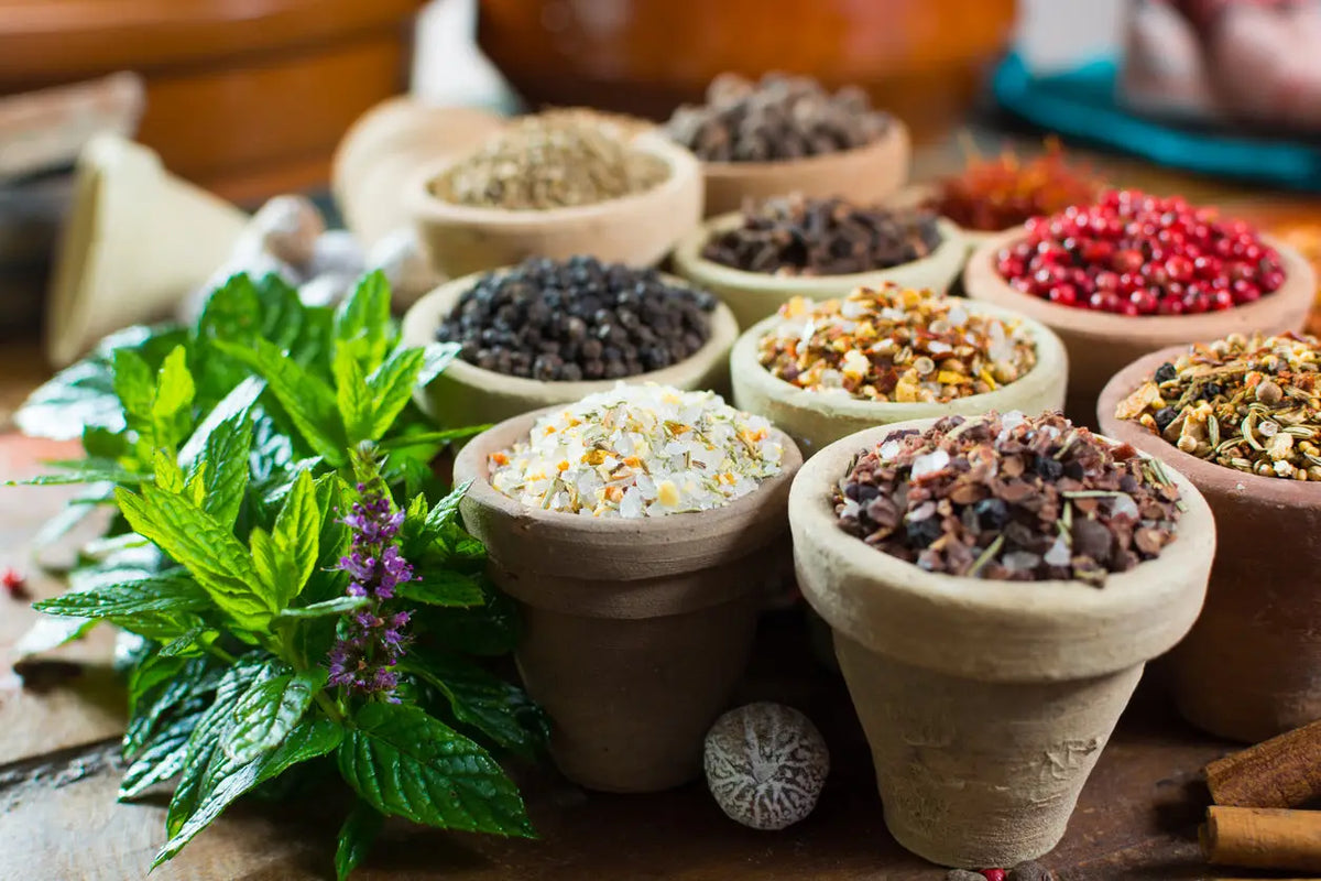 Earthenware spice pots mit bunten getrockneten kräutern und gewürzen zur unterstützung beim ayurveda typ bestimmen und stabile konstitution