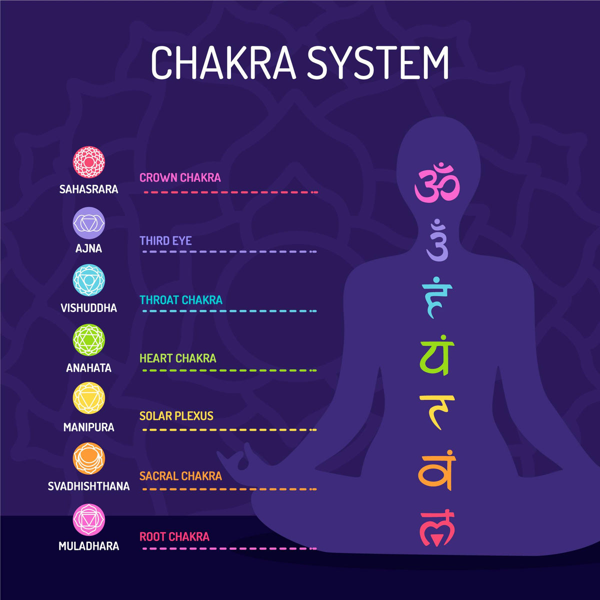 Infografik des Chakra-Systems mit den sieben Energiezentren und Sanskrit-Symbolen.