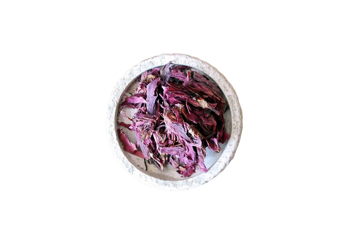 Ayamani Naturals Red Lotus Nymphaea Rubra getrocknete Blütenblätter, Tee für Entspannung und Aphrodisiakum, natürliche Blühblätter