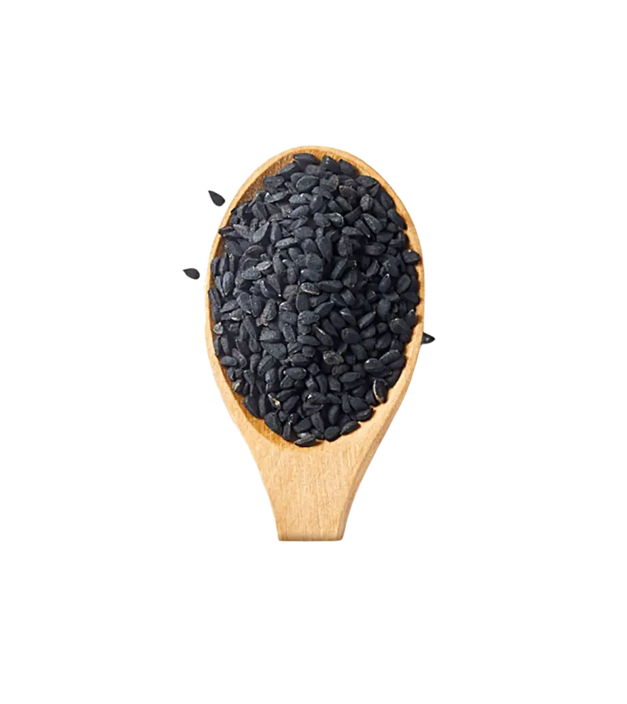 Ein holzlöffel gefüllt mit schwarzen schwarzen kümmelsamen ganz aus bio demeter qualität von sonnentor schwarzkümmel bei mana shop