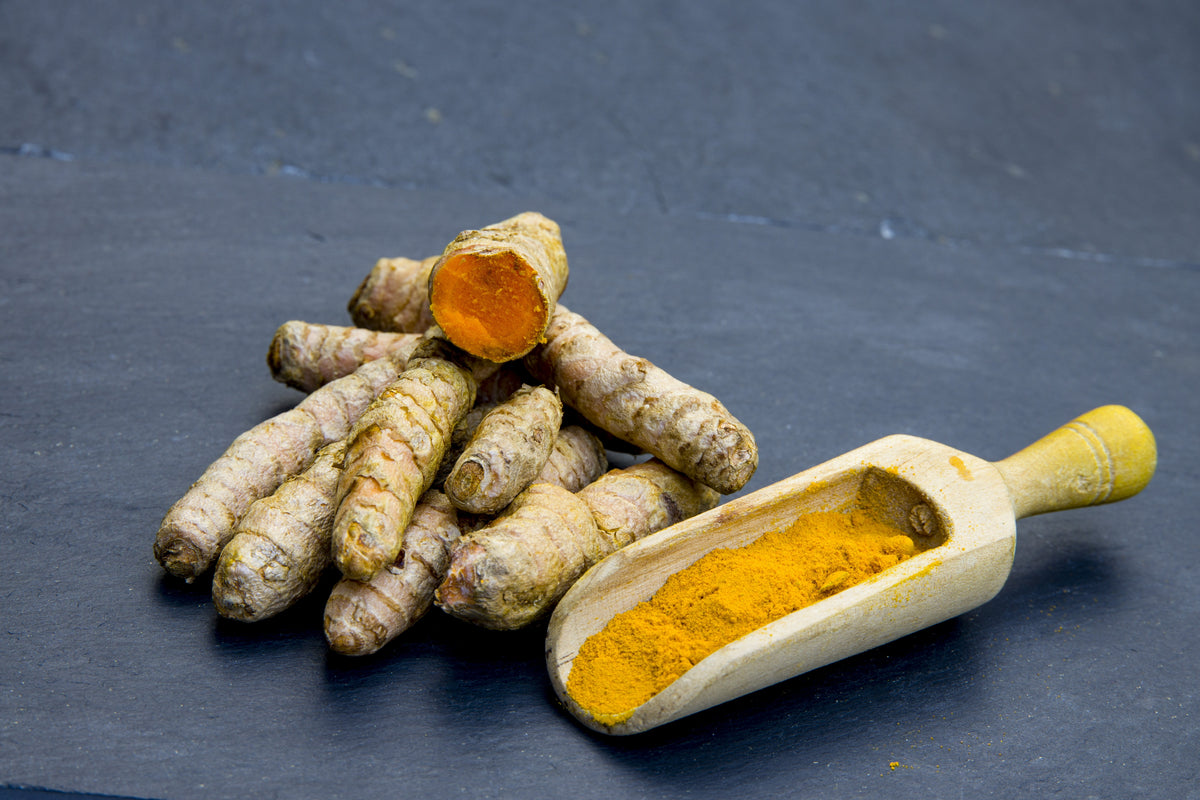 Frische Kurkumawurzel und leuchtendes Kurkumapulver in einem Holzlöffel.