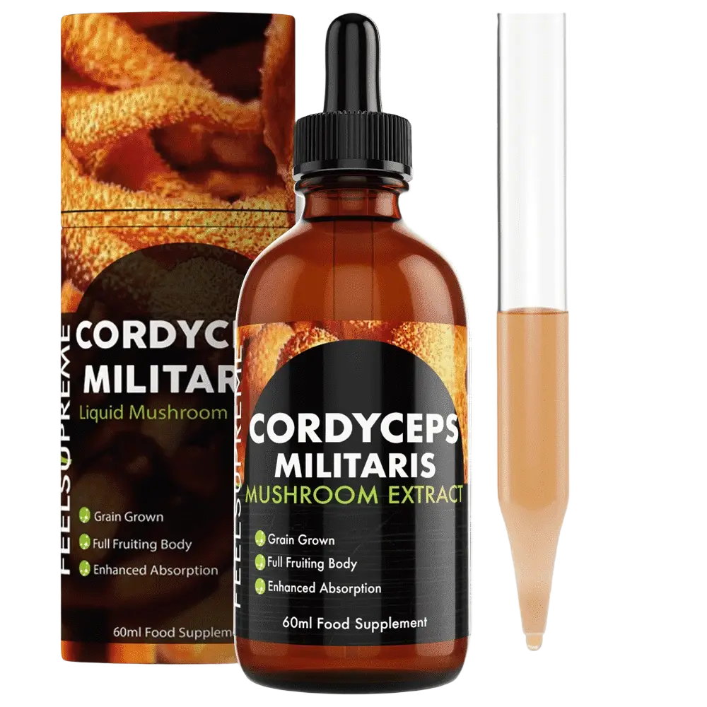 Flüssigergänzung mit Cordyceps Militaris Pilz von Feel Supreme, 60 ml, unterstützt Energie und Vitalität.