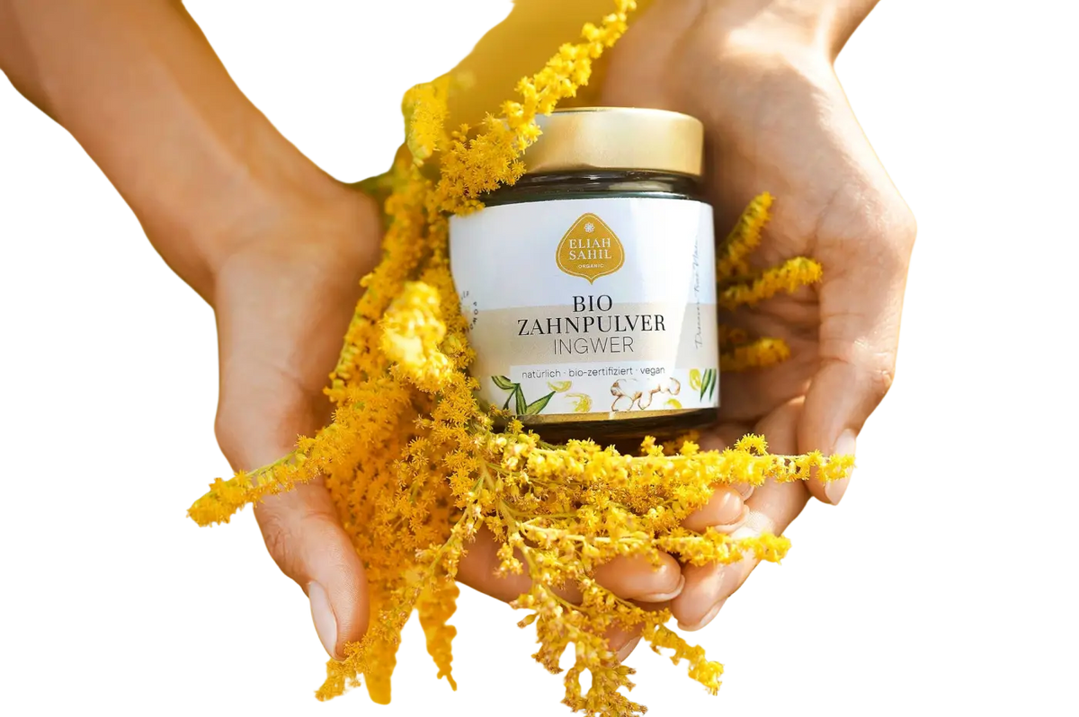 Bio Zahnpulver Ingwer von Eliah Sahil Organic Care, sanftes Zahnweiß, natürliche Pflege für Zähne, 45g in Bio-Qualität
