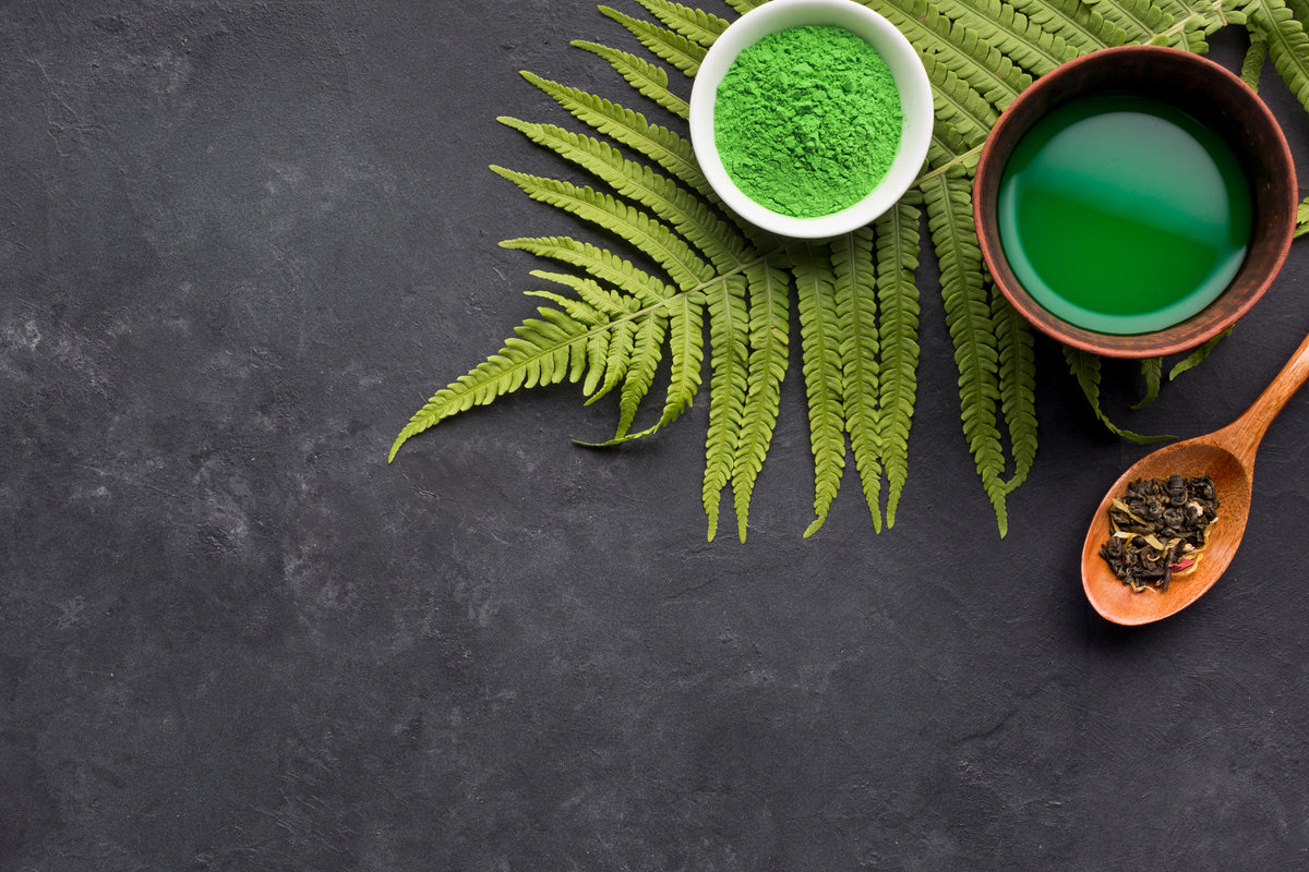 Grünes Matcha-Pulver in einer Schale, Matcha-Tee und Teeblätter auf Farnblättern.