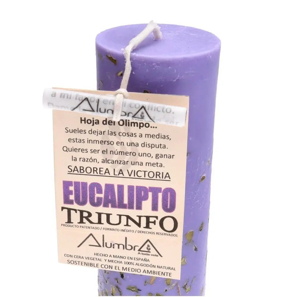 Lila handgemachte Kerze mit Eukalyptus, zylindrisches Design, von Vives de la Cortada S.L, für ein ruhiges Ambiente