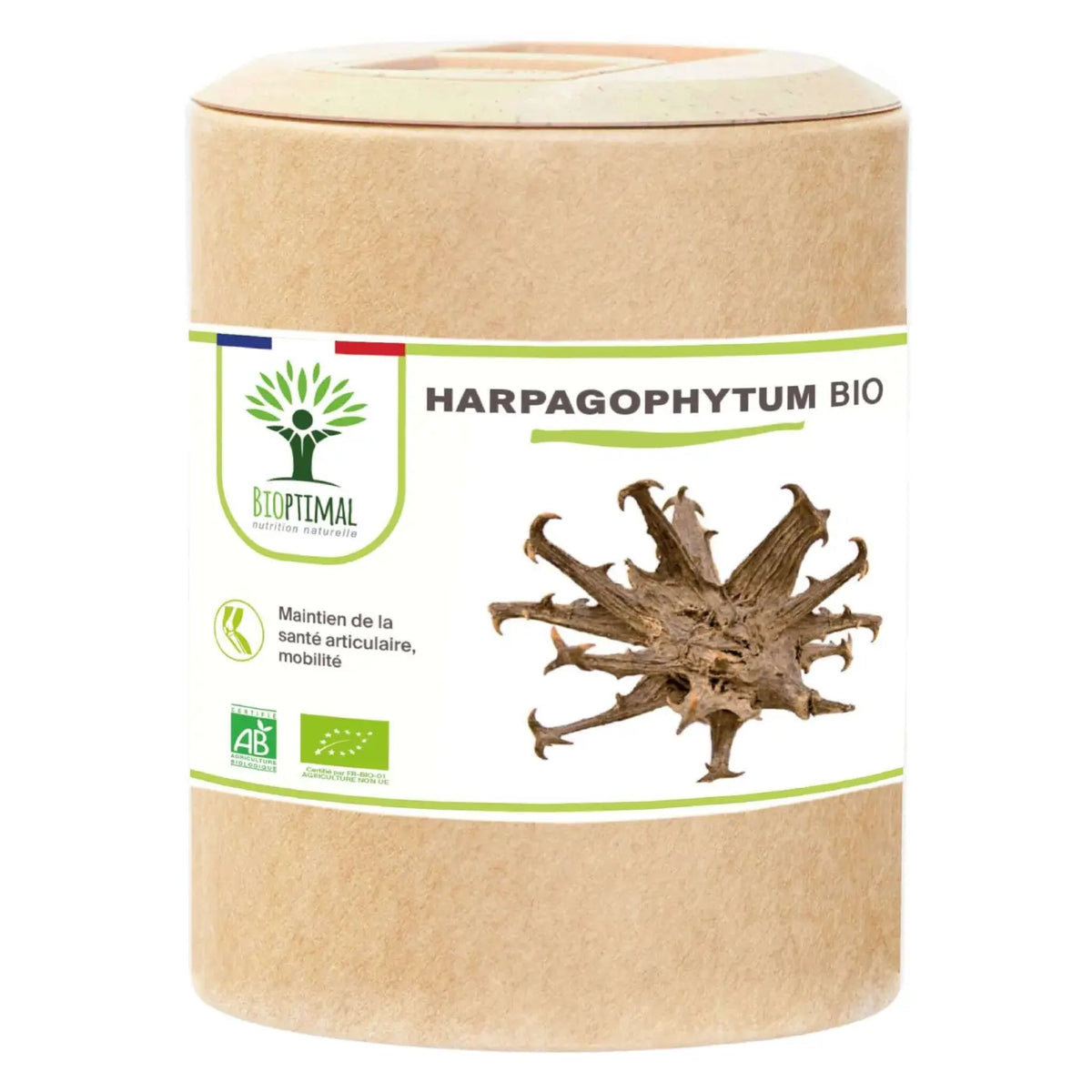 Bio Harpagophytum Teufelskrallen Nahrungsergänzung, 60 Kapseln für Verdauung, Appetit und Gelenkgesundheit, von Bioptimal