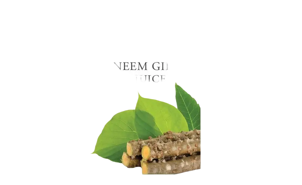 Neem Giloy Saft in 1-Liter-Flasche, Ayurveda Specialist B.V., grünes Etikett, transparentes Glas, naturbelassene Saftflasche