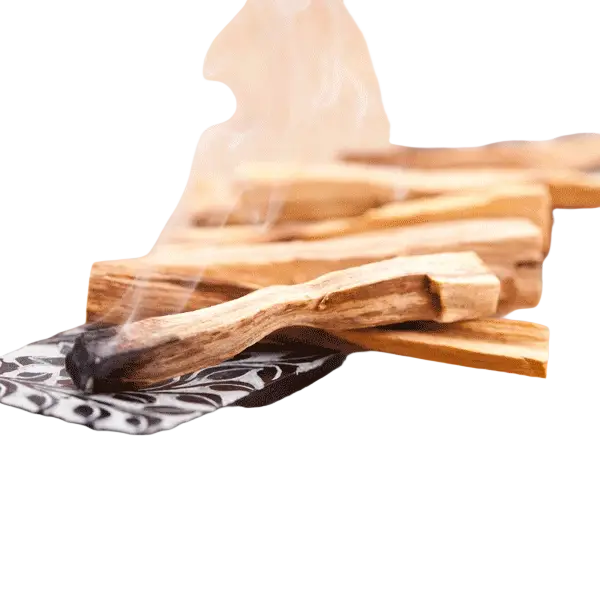 Dessauer Palo Santo Räucherholz 40g, glimmender schwarzer Räucherstab für Räucherwaren, ruhend und aromatisch.