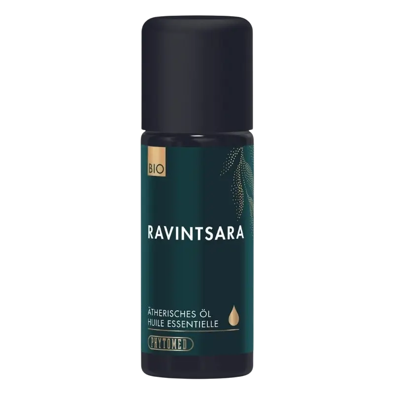 Dunkelgrünes Fläschchen mit Phytomed Ravintsara Bio Ätherisches Öl, 10ml, mit Tropfverschluss, auf weißem Hintergrund