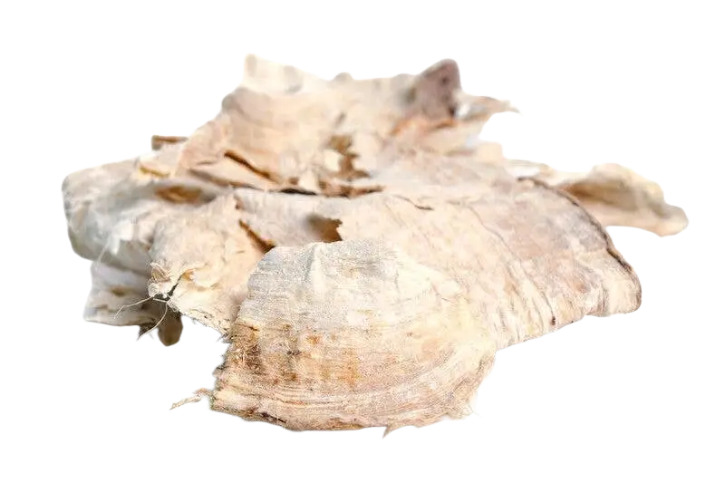 Pueraria Mirifica Nahrungsergänzung in 120 Kapseln von Ancient Purity, für Hormonbalance und weibliche Vitalität.