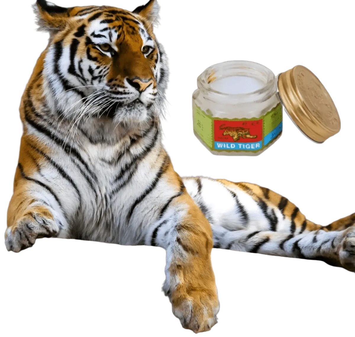 Tigerbalsam 18 g, schmerzlindernd und entzündungshemmend, Zubehör für Therapie, von My Wholesale Warehouse