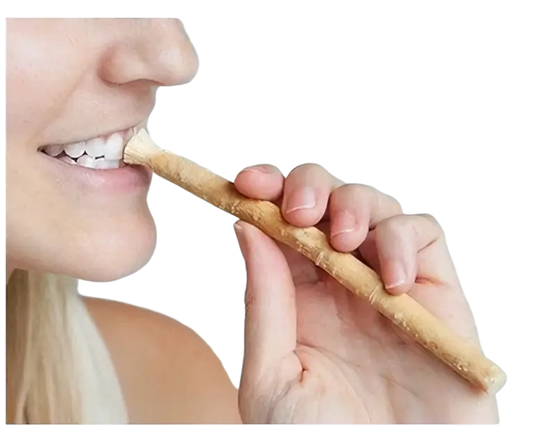 Unicorn® Miswak Zahnpflegeholz für natürliche Mund- und Zahnpflege, Spa Vivent, zeigt das Holz zum Zähneputzen.