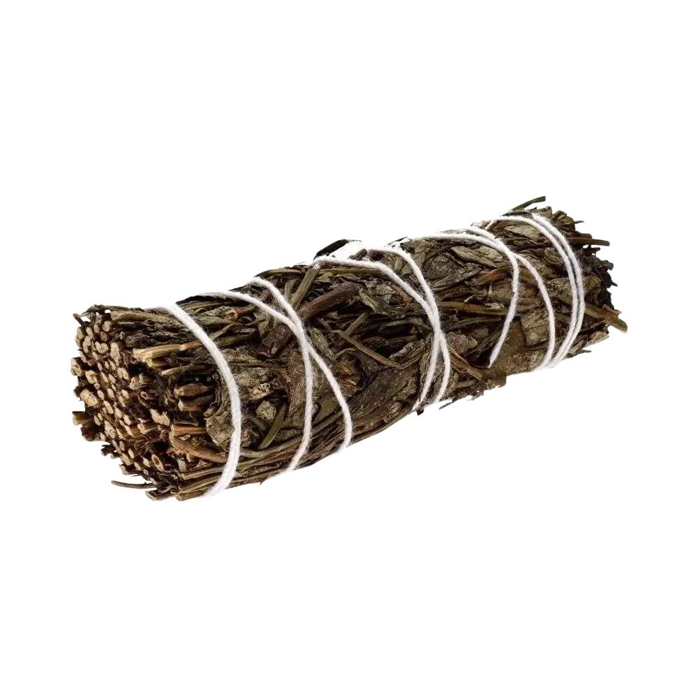 Weinrauch gebundenes Yerba Buena Räucherwerk, geschnürtes Bündel mit grünen Blättern und Weinrauch, von Vives de la Cortada S.L