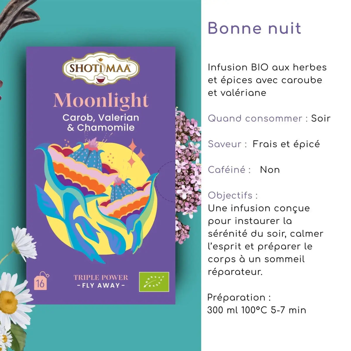 Bio-Kräutertee von Zen'Arôme mit Johannisbrot, Baldrian und Kamille für eine entspannte Schlafenszeit, in einer Tasse serviert.
