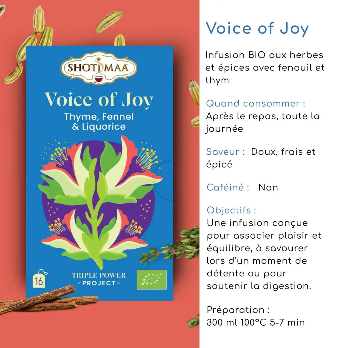 Bio-Kräutertee Zen'Arôme Voice of Joy mit Lakritz, Fenchel und Thymian, frisch aufgebrüht in einer Tasse, aromatisch und naturbelassen