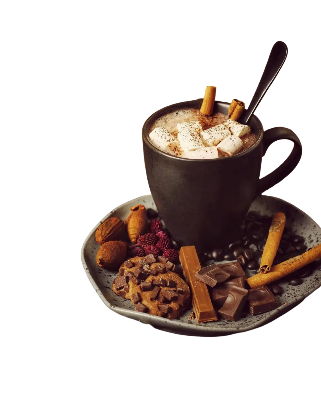 Zeremonieller Kakao Choco Chai mit Reishi, Chaga und Pilzen für heiße Schokolade, ayurvedische Süßigkeit und Snack, Ayamani Naturals