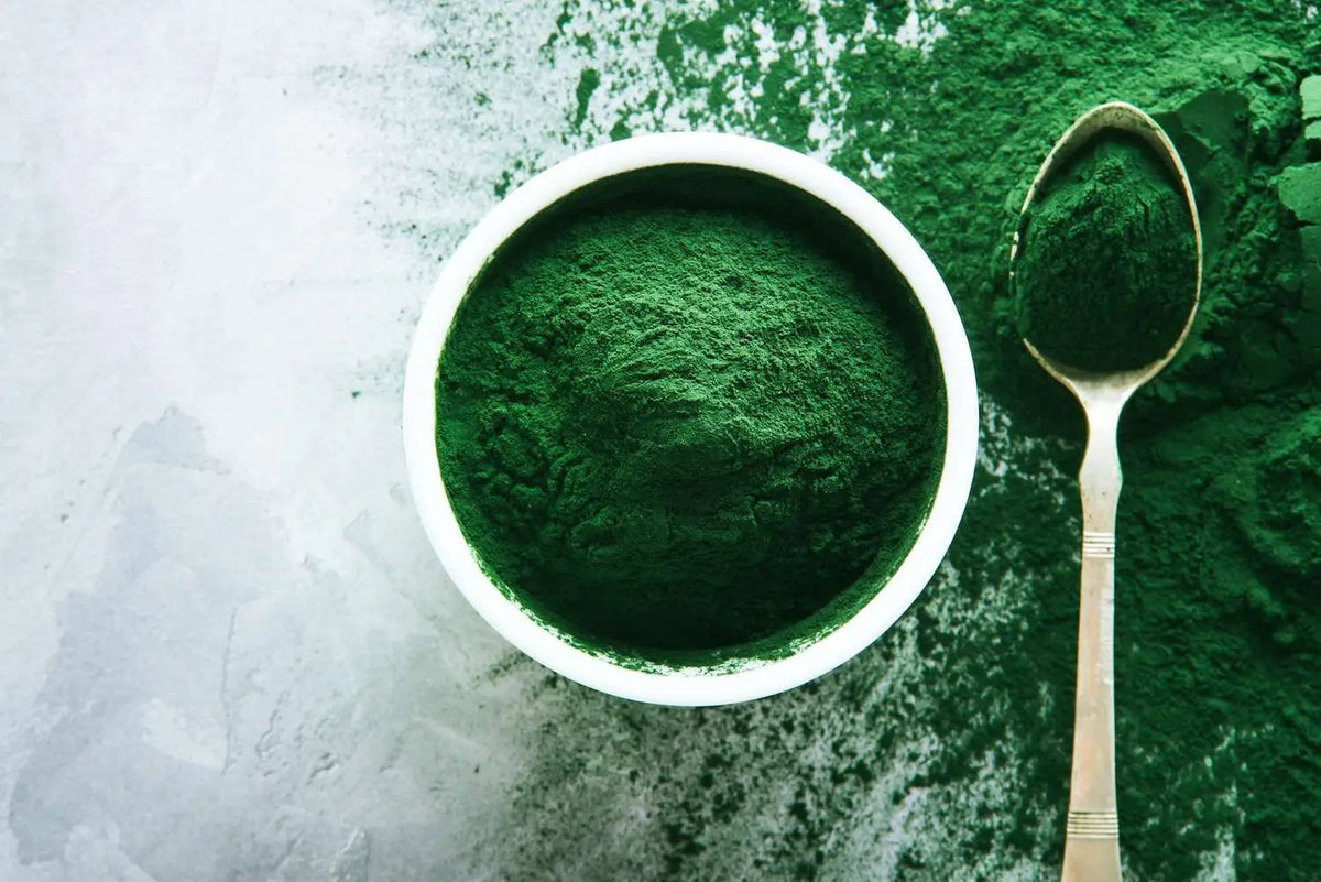 Ein weißer keramikschüssel mit tiefgrünem spirulina pulver und einem metalllöffel im mana shop bern ostermundigen
