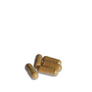 Ancient Purity – Tigermilchpilz Kapseln 90 x 425 mg – Natürliche Unterstützung für Atemwege & Gehirn