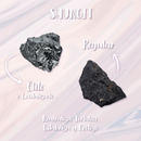 Eine Grafik, die zwei Formen von Schungit-Steinen zeigt: eine glänzende, gesplitterte Version, die als „Élite o Cristalizado" (Elite oder kristallisiert) bezeichnet wird, und eine matte, raue Version, die als „Regular" (Regulär) bezeichnet wird. Der Text listet die Eigenschaften des Steins auf: „Neutraliza, Fortalece, Estabiliza y Protege" (Neutralisiert, stärkt, stabilisiert und schützt).