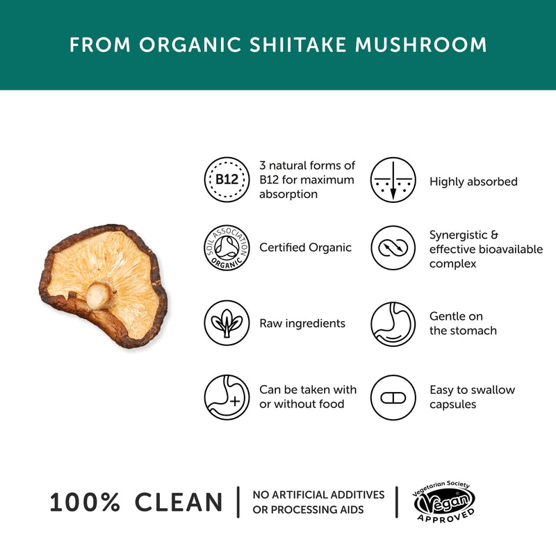 Vitamin B12 — Bio Vegan — 30 Kapseln