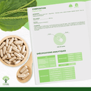 Psyllium Bio – complément alimentaire à base de psyllium en capsules pour une digestion saine et une régulation du cholestérol