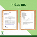 Prêle bio – complément alimentaire en gélules pour soutenir les articulations et la beauté