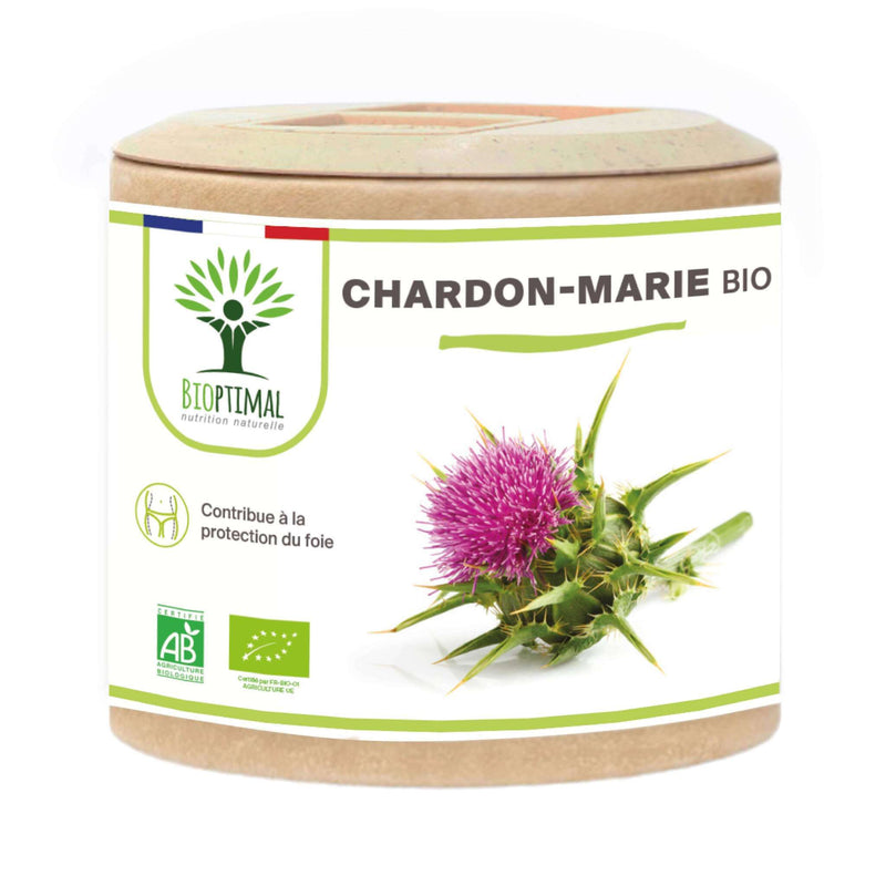 Organic milk thistle – dietary supplement in capsules to support liver health and immune strengthening