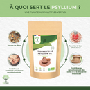 Infografik zur Erklärung der Vorteile von Psyllium, einschließlich eines 150g Beutels mit den Hinweisen "Reich an Ballaststoffen", "Ohne Zucker", "Ohne Gluten" und AB-Bio-Siegel.
