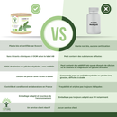 Organic Sage – Food supplement in capsules for sweat control and menstrual comfort