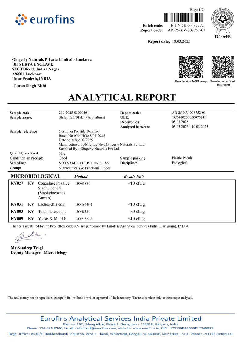 Altai Shilajit Resin | 50 g | 80+ Spurenelemente