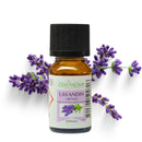 Zen'Arôme - Lavandin Grosso Ätherisches Öl – 100 % natürlich – 10 ml