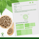 Ortie Bio – Complément alimentaire en gélules pour la santé et le drainage des articulations