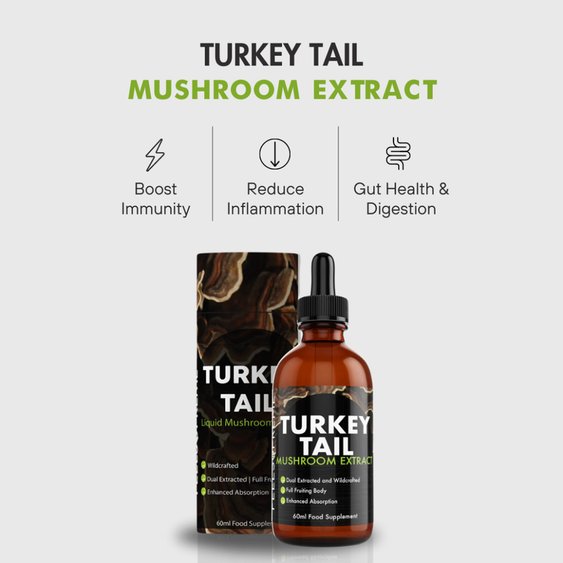 Turkey Tail Mushroom Liquid | High Strength