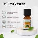 Zen'Arôme - Kiefern-Ätherisches Öl – 100 % natürlich – 10 ml
