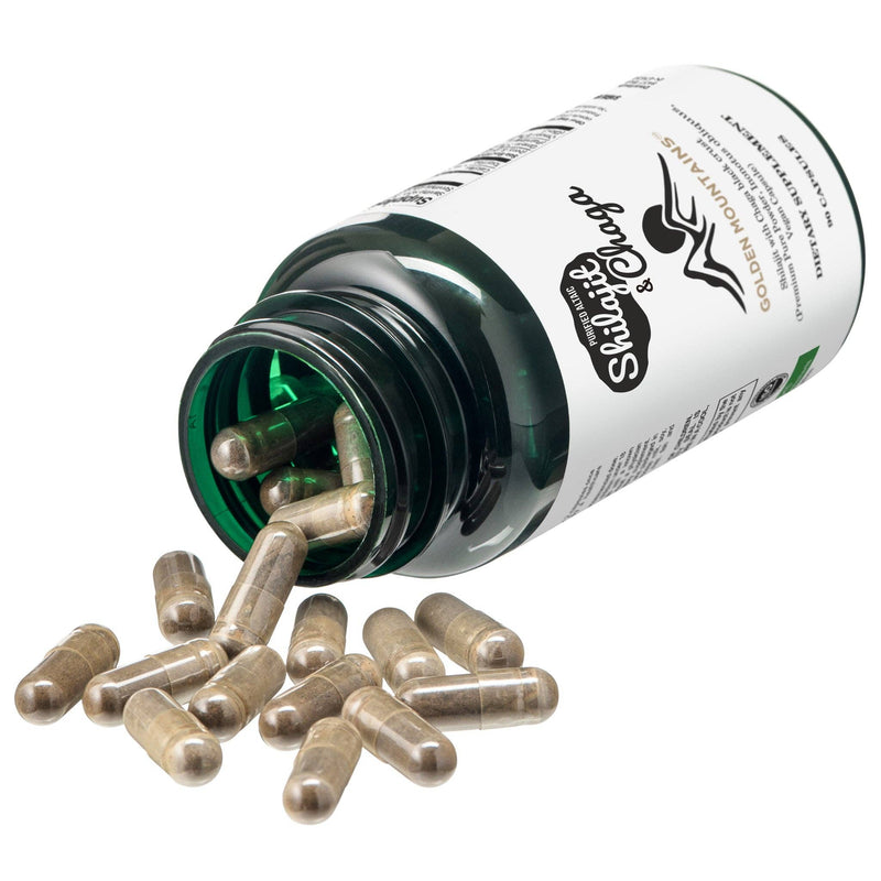 SiberianGreen - Shilajit & Chaga Kapseln – Ein natürlicher Booster zur Steigerung der Immunität & Energiekapsel