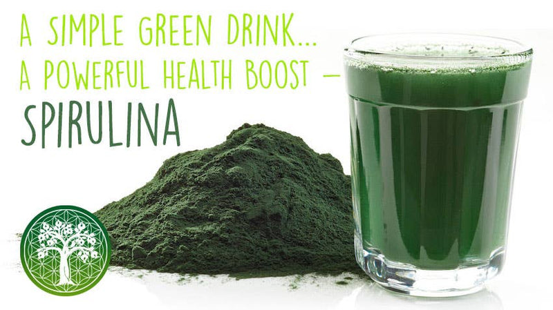 Ancient Purity - Spirulina- & Chlorella-Pulver - 300g | Sauberer Ursprung Japan