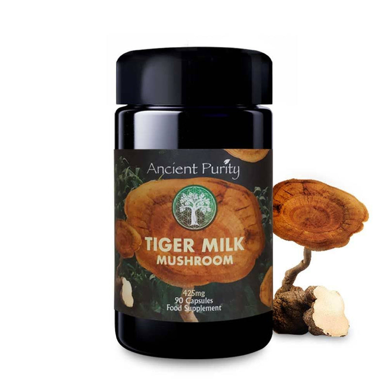 Ancient Purity – Tigermilchpilz Kapseln 90 x 425 mg – Natürliche Unterstützung für Atemwege & Gehirn