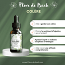 Bachblüten Wut – Innere Ruhe & Gelassenheit wiederfinden