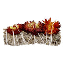 Weißer Salbei mit Siempreviva