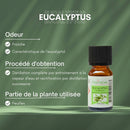 Zen'Arôme - Eukalyptus ätherisches Öl – 100 % Naturrein – 10 ml