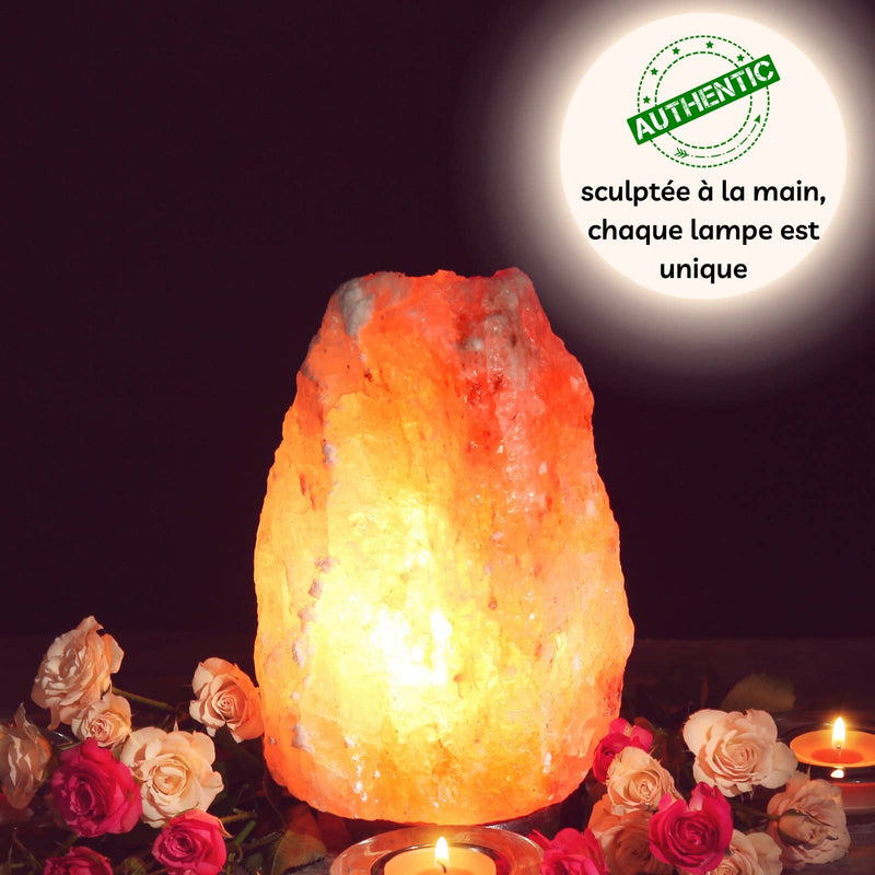 Zen'Arome - Lampe de sel de l'Himalaya forme brute 2 à 3 kg