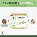 Artemisia bio - Douleurs menstruelles et renforcement musculaire - Complément alimentaire - en capsules