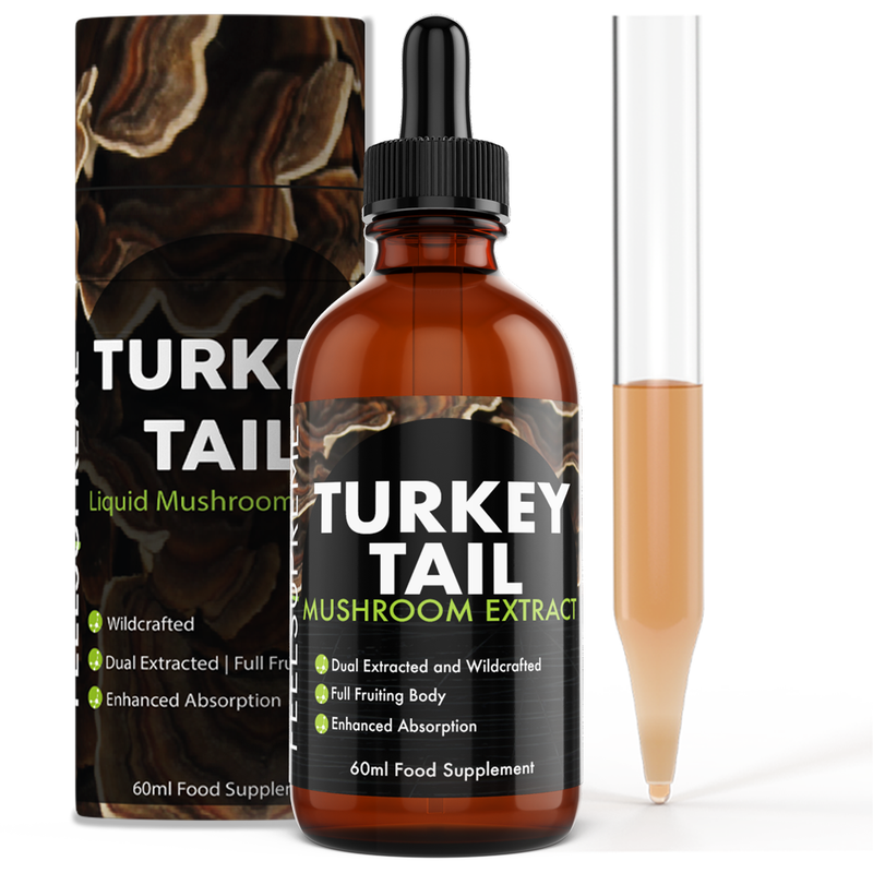 Turkey Tail Mushroom Liquid | High Strength