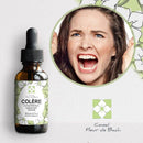 Bachblüten Wut – Innere Ruhe & Gelassenheit wiederfinden