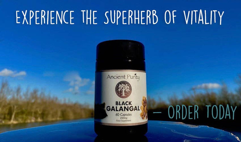 Ancient Purity - Black Galangal - 60 x 250 mg | Black Ginger | Male Libido