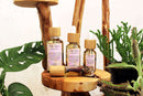  Three "Self Love" perfume oil bottles, two with dropper caps and one roll-on, are arranged on a multi-tiered wooden display against a white background. All bottles contain golden oil infused with botanicals and feature bamboo accents. Lush green plants flank the display, enhancing the natural aesthetic.