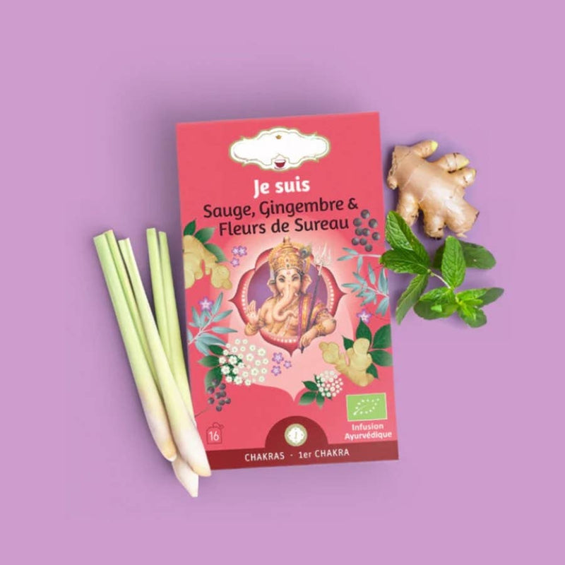 Zen'Arome - Bio-Kräutertee-Infusion Ich Bin - Salbei / Ingwer - 16 Beutel