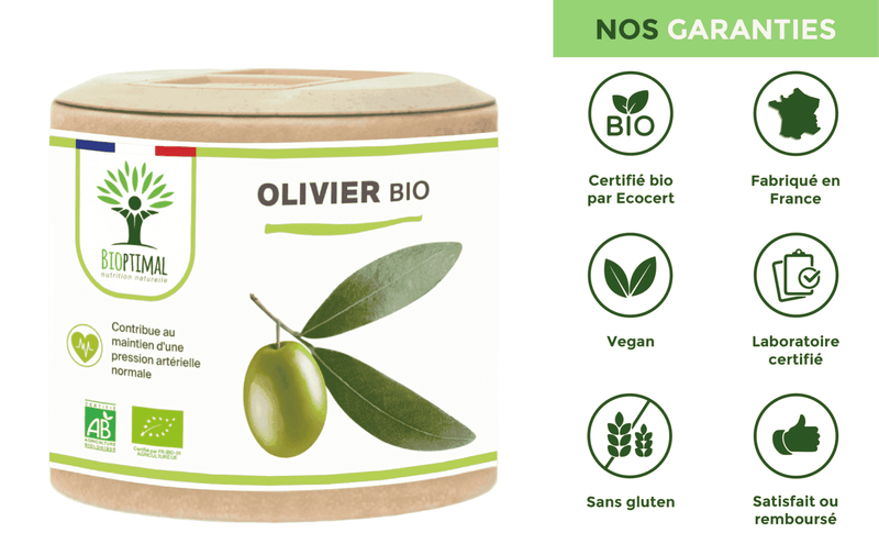 Feuille d'olivier bio – Complément alimentaire en gélules pour un effet diurétique et une bonne santé cardiovasculaire