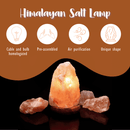 Lampe de sel de l'Himalaya (1-2 kg) Détoxification et relaxation