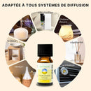 Zen'Arôme - Belebende ätherische Ölmischung - 10 ml